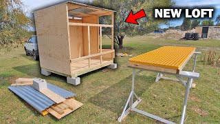 RACING PIGEON LOFT BUILD Part 2 [upl. by Darbie212]