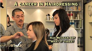 Hairdressing Careers [upl. by Booze112]