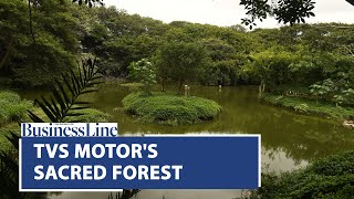 A sacred forest within TVS Motors Hosur factory [upl. by Lanny56]