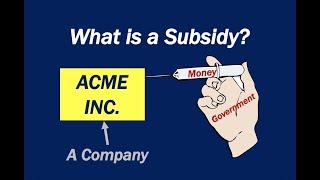 What is a Subsidy [upl. by Ansilma]