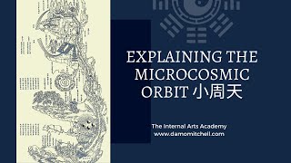 Microcosmic Orbit 小周天 Free InDepth Training with Damo Mitchell [upl. by Elrak713]