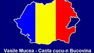 Vasile Mucea  Canta cucun Bucovina [upl. by Cartan]