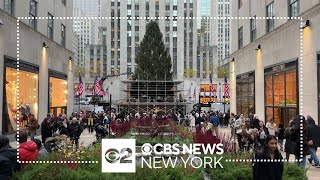 2023 Rockefeller Center Christmas tree arrives in NYC [upl. by Yelsnia934]