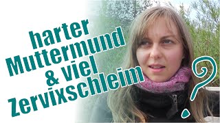 Harter Muttermund und viel Zervixschleim  Bin ich jetzt schwanger [upl. by Atews383]