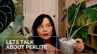 How to plant in perlite  Perlite and Semi Hydro [upl. by Snilloc382]