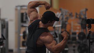 IFBB Pro Arm Workout [upl. by Baoj]