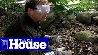 How to Clear Poison Ivy  This Old House [upl. by Eisak]