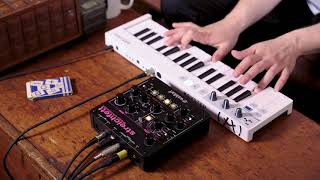 Waldorf Streichfett String Synthesizer Complete OverviewTutorial [upl. by Ive]