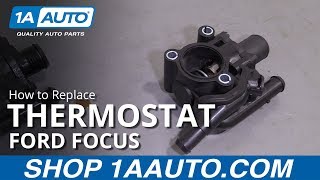 How to Replace Thermostat 0004 Ford Focus [upl. by Ecirtel515]