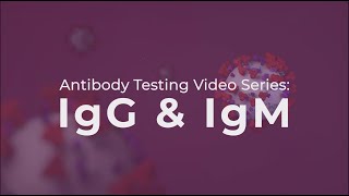 Antibody Testing IgG and IgM explained [upl. by Nileuqaj]