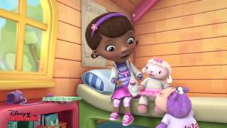 The Glider Brothers  Doc McStuffins  Disney Junior UK [upl. by Amitie]