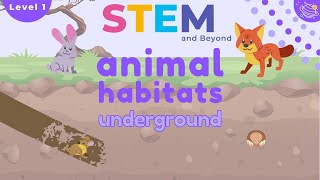 Animal Habitats  Underground  KS1 Science Resources [upl. by Enehs]