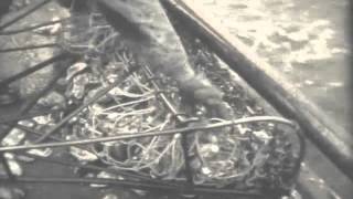 Skipjack Oyster Dredging and processing 1956 [upl. by Hamil]