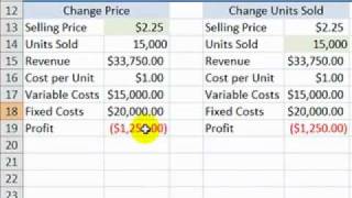 Perform a Break Even Analysis with Excels Goal Seek Tool [upl. by Fenwick761]