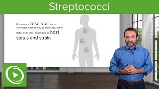 Streptococci – Microbiology  Lecturio [upl. by Oralie]