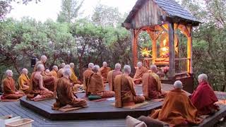 Pali Chanting In The Abhayagiri Buddhist Monastery  Theravada Buddhism [upl. by Mohn333]