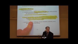 PHARMACOLOGY NARCOTIC ANALGESICS by Professor Fink [upl. by Ronnholm]