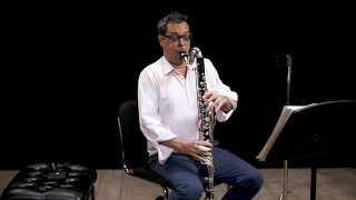 Instrument Bass Clarinet In Depth [upl. by Korenblat]