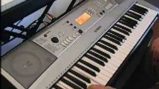 Yamaha PSRE313 demo EZ Keyboard Lesson from wwwroamstarmusiccom [upl. by Anneehs]