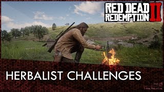 Red Dead Redemption 2 Herbalist Challenges Guide [upl. by Kordula]