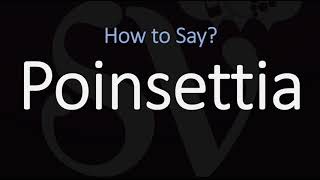 How to Pronounce Poinsettia CORRECTLY [upl. by Gomer]