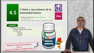 45 CÉLULAS Y MECANISMOS DE LA INMUNIDAD INNATA [upl. by Helgeson477]