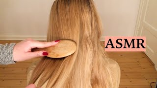 ASMR 1 HOUR HAIR BRUSHING COMPILATION NO TALKING [upl. by Ignacia]