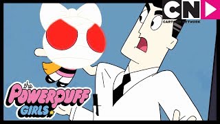 Powerpuff Girls  The Professor Gets ANGRY  Cartoon Network [upl. by Anoli]