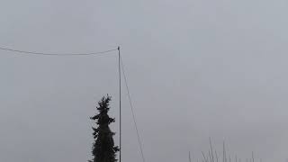 Multiband End Fed Antenna System using Spiderpole [upl. by Lenahc]