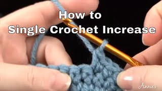 How to Single Crochet Increase  an Annies Tutorial [upl. by Eveam]