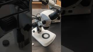 Dissecting microscope [upl. by Airotcivairam]