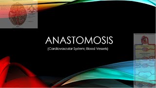 The Popliteal Artery branches amp genicular anastomosis [upl. by Aubarta]