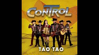 CONTROL  TAO TAO [upl. by Rainwater492]