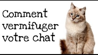 Comment vermifuger votre chat [upl. by Limber]