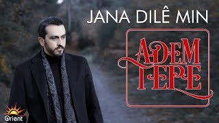 Adem Tepe  Jana Dile Min Official Audio [upl. by Romeyn]