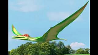 Dino Dan Pterodactyls sound effects [upl. by Arretal]