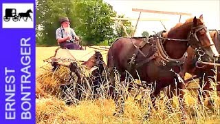 Amish Farmer with 4 Horse Hitch Binding Wheat [upl. by Maurizio871]