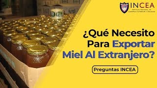 ¿Qué Necesito Para Exportar Miel Al Extranjero  Preguntas INCEA [upl. by Ileek]