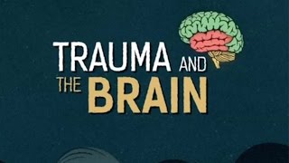 Trauma and the Brain [upl. by Avirt]