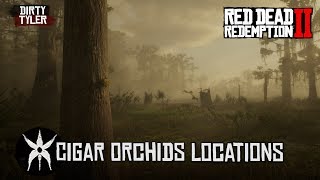 RDR2 All Cigar Orchid Locations Red Dead Redemption 2 [upl. by Barthelemy810]