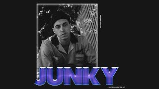 JUNKY  BROCKHAMPTON [upl. by Esiralc]