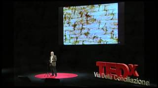 The Shroud and the jew Barrie Schwortz at TEDx ViadellaConciliazione [upl. by Turner]