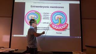 2402 Lab Extraembryonic Membranes and Fetal Circulation [upl. by Oiromed]