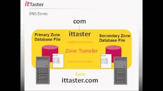 DNS Tutorial for Beginners [upl. by Sheela]