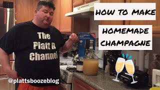 How to make Homemade Champagne [upl. by Atnomed]