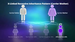 How to calculate allele frequency [upl. by Zebe809]