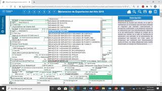 Declaración de Exportación  formulario 600 [upl. by Ahsam]