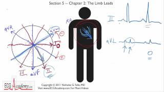 Frontal or Limb Leads 52  ECG  EKG Interpretation  BASIC [upl. by Adyela865]