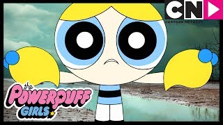 Powerpuff Girls  The Fashionistas Perfume  Cartoon Network [upl. by Resaec593]