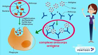 Réaction immunitaire spécifique [upl. by Irmgard480]
